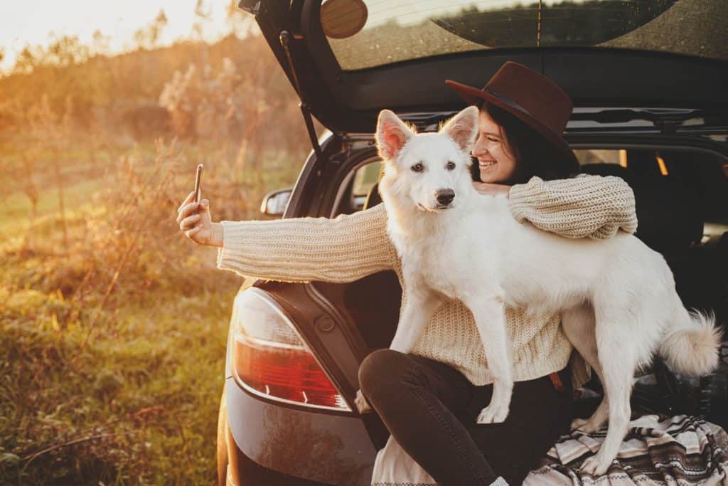Mulher tira selfie com cachorro em carro durante viagem