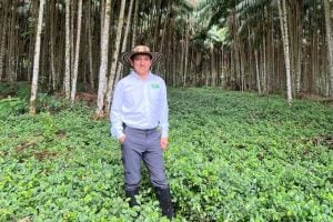 Do Putumayo Ao Mundo, Como Colômbia Entra na Disputa Pelo Bilionário Mercado do Açaí