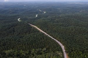 Indonésia Confirma Biodiesel B50 para 2026 Após Reduzir Importações de Diesel em Quase 40%