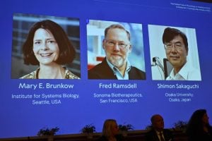 Mary E. Brunkow, Fred Ramsdell e Shimon Sakaguchi recebem o Prêmio Nobel de Fisiologia ou Medicina deste ano