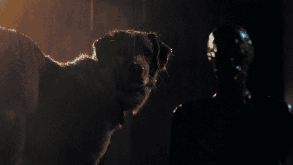 final explicado do filme de terror Bom Menino