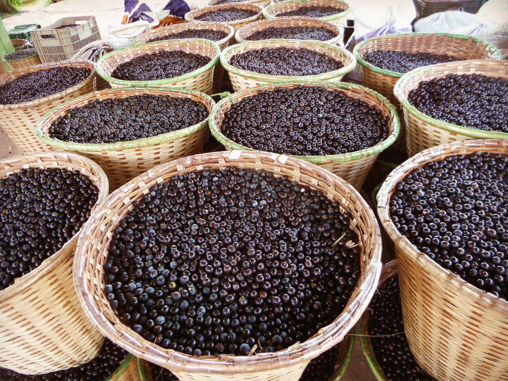 Açaí. Imagem: Railson Wallace/Wikimedia Commons